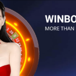 How to use Winbox casino and where do I get it?